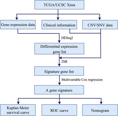 Prediction of Radiosensitivity in Head and Neck Squamous Cell Carcinoma Based on Multiple Omics Data